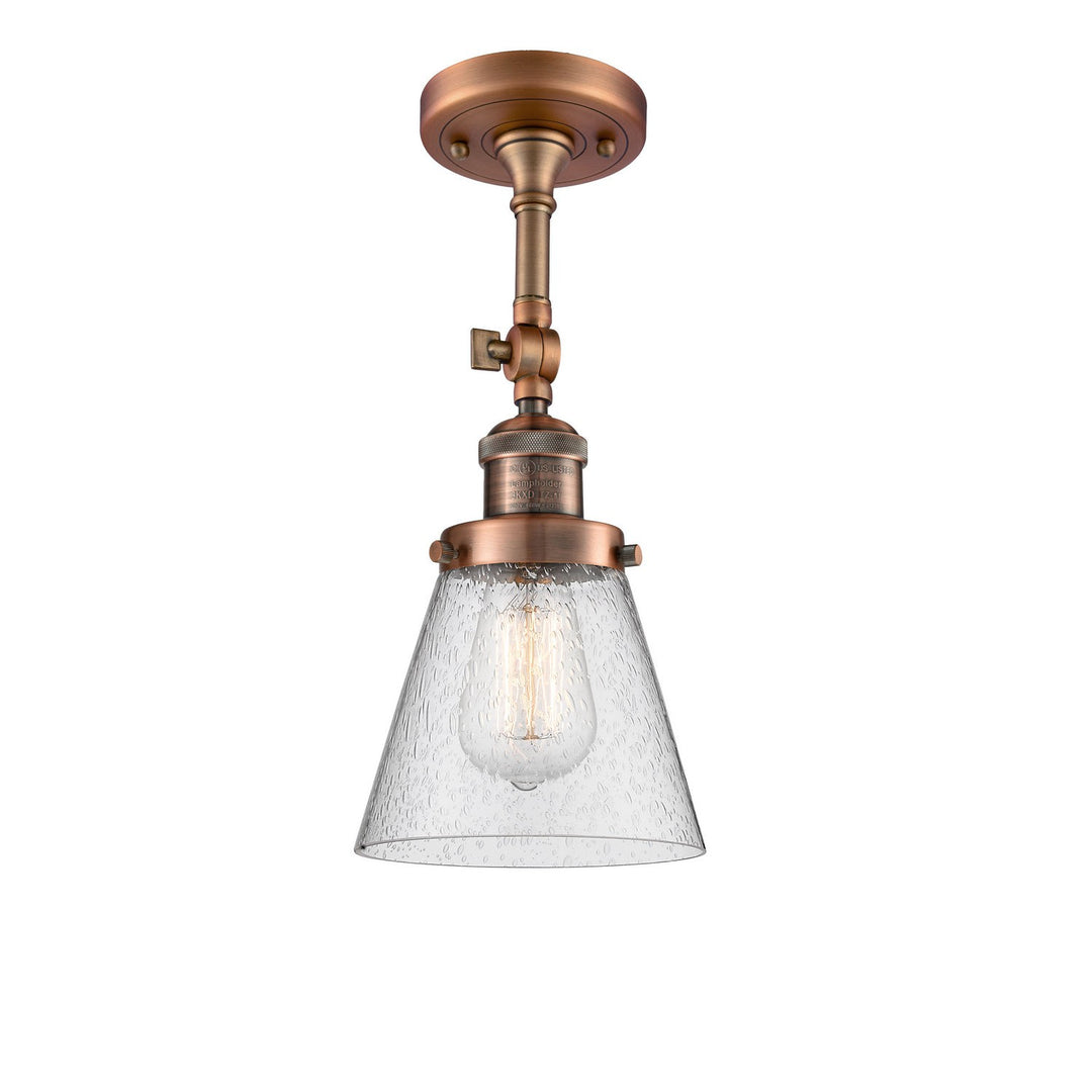 Innovations Franklin Restoration 201F-AC-G64 Ceiling Light - Antique Copper