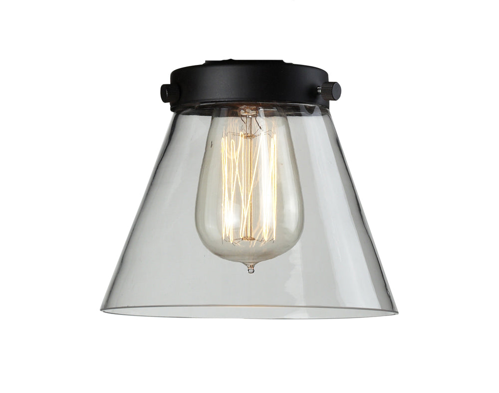 Innovations Lighting G62  Franklin Restoration Lamp Shade Light