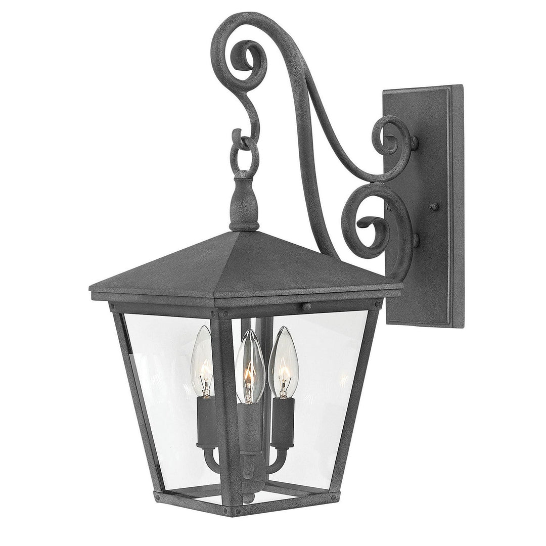 Hinkley Lighting 1434DZ-LL  Trellis Outdoor Aged Zinc