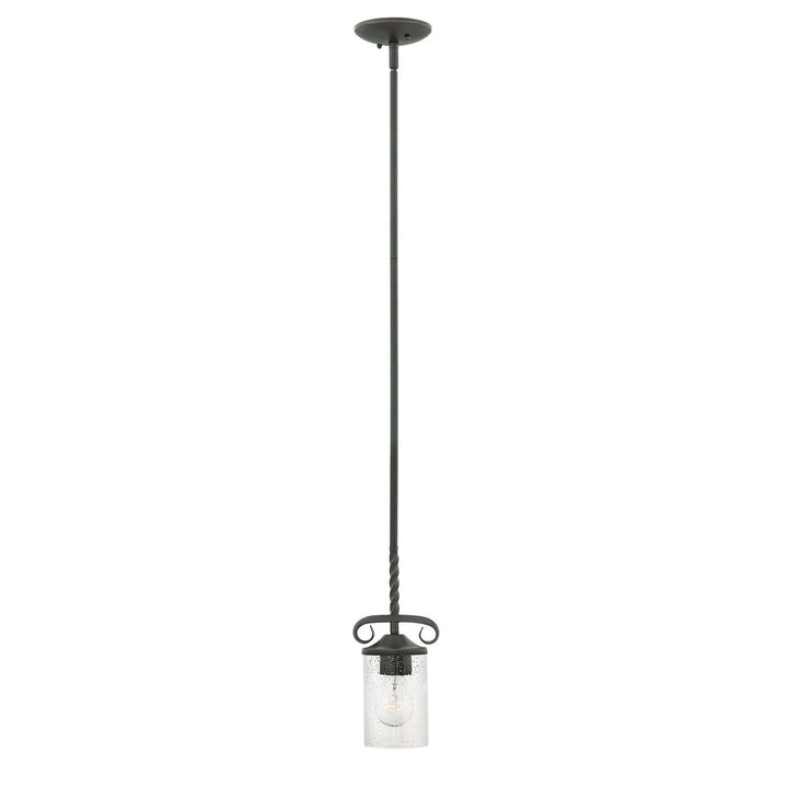 Hinkley Casa 4017OL-CL Pendant Light - Olde Black with Clear Seedy glass