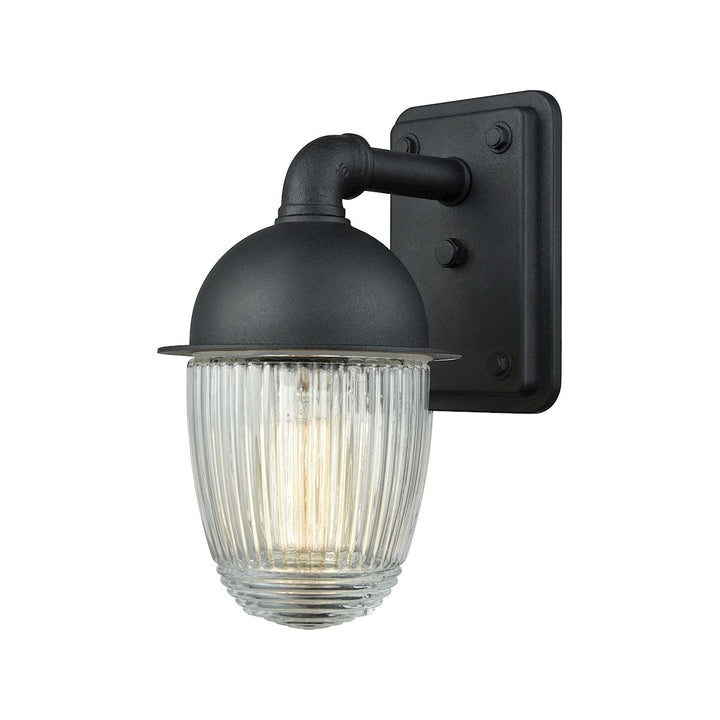 Elk Lighting 45250/1  Channing Outdoor Matte Black