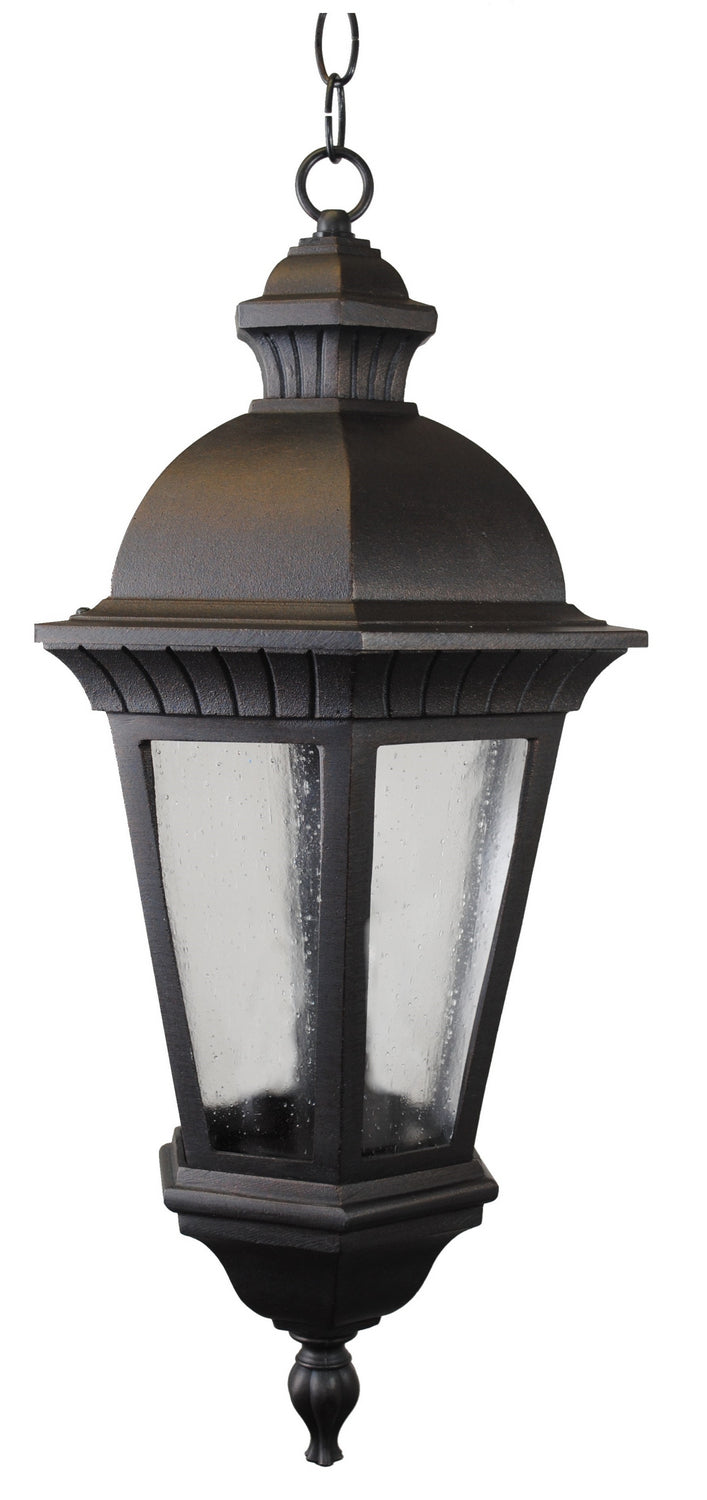 Melissa Lighting K131 Kiss One Light Hanging Lantern Outdoor Black