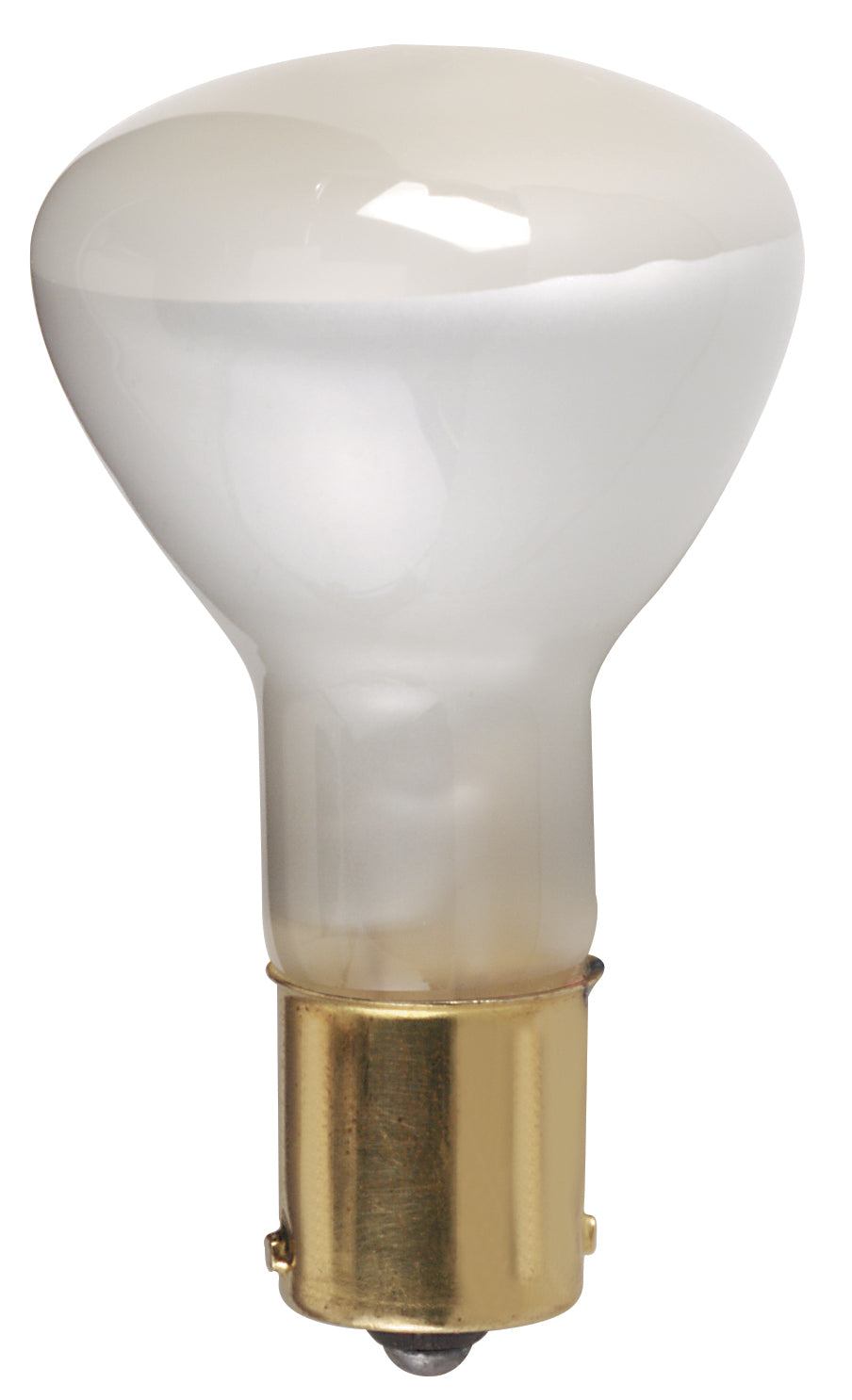 Satco Lighting S1383   Light Bulb Clear