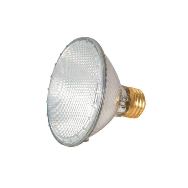 Satco Lighting S2235  Light Bulb Light Bulb Light