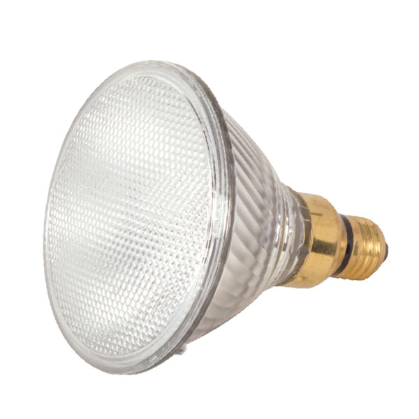 Satco Lighting S2247  Light Bulb Light Bulb Light