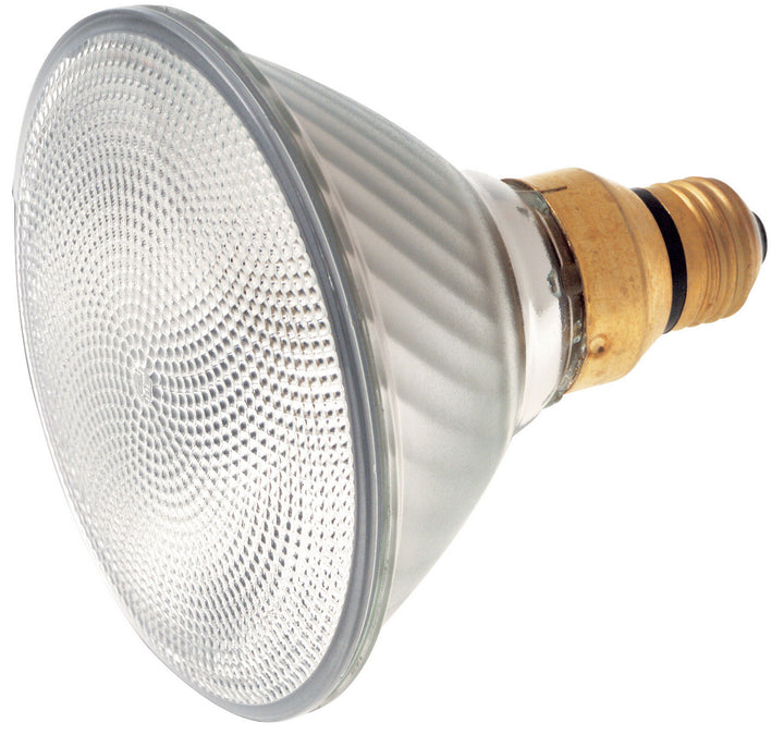 Satco Lighting S2248  Light Bulb Light Bulb Light