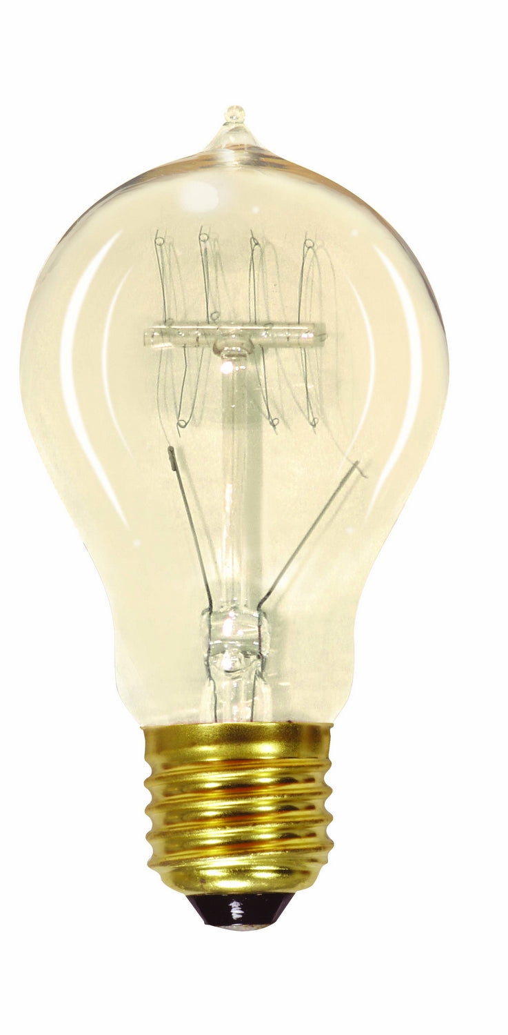 Satco Lighting S2411   Light Bulb Clear