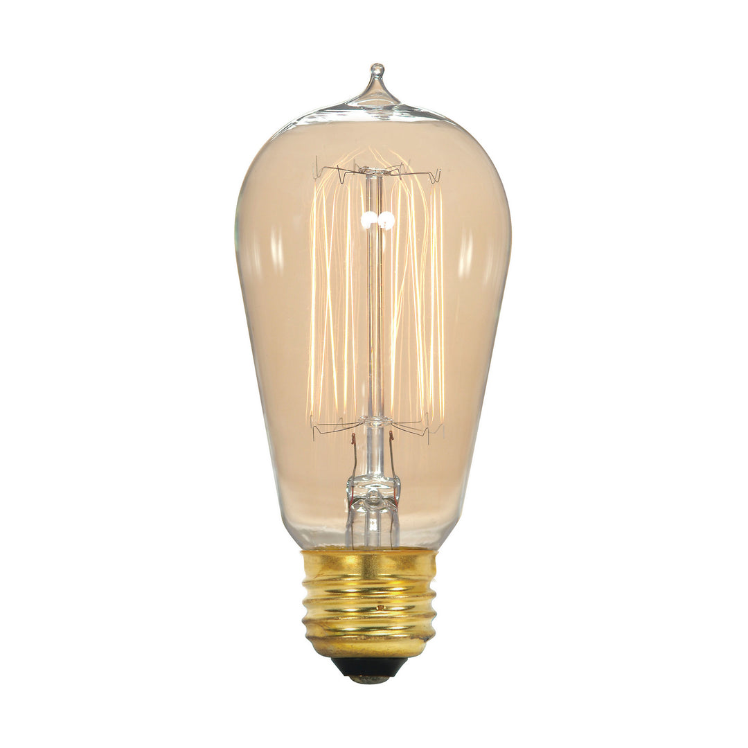 Satco Lighting S2413   Light Bulb Clear