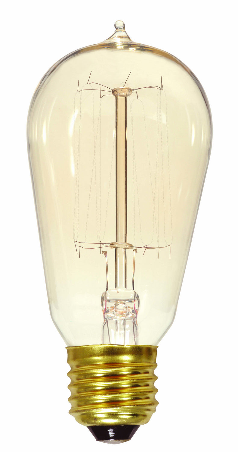 Satco Lighting S2413   Light Bulb Clear