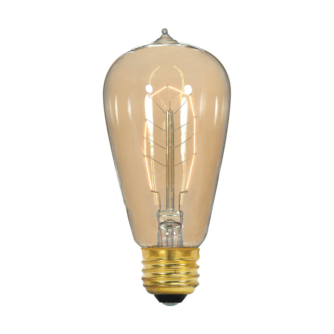 Satco Lighting S2414   Light Bulb Clear