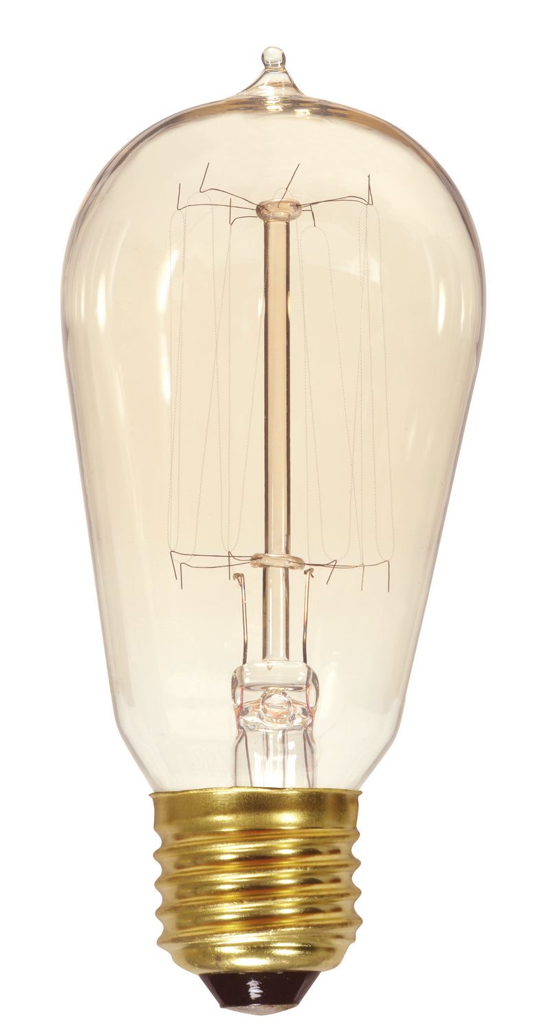 Satco Lighting S2423   Light Bulb Clear