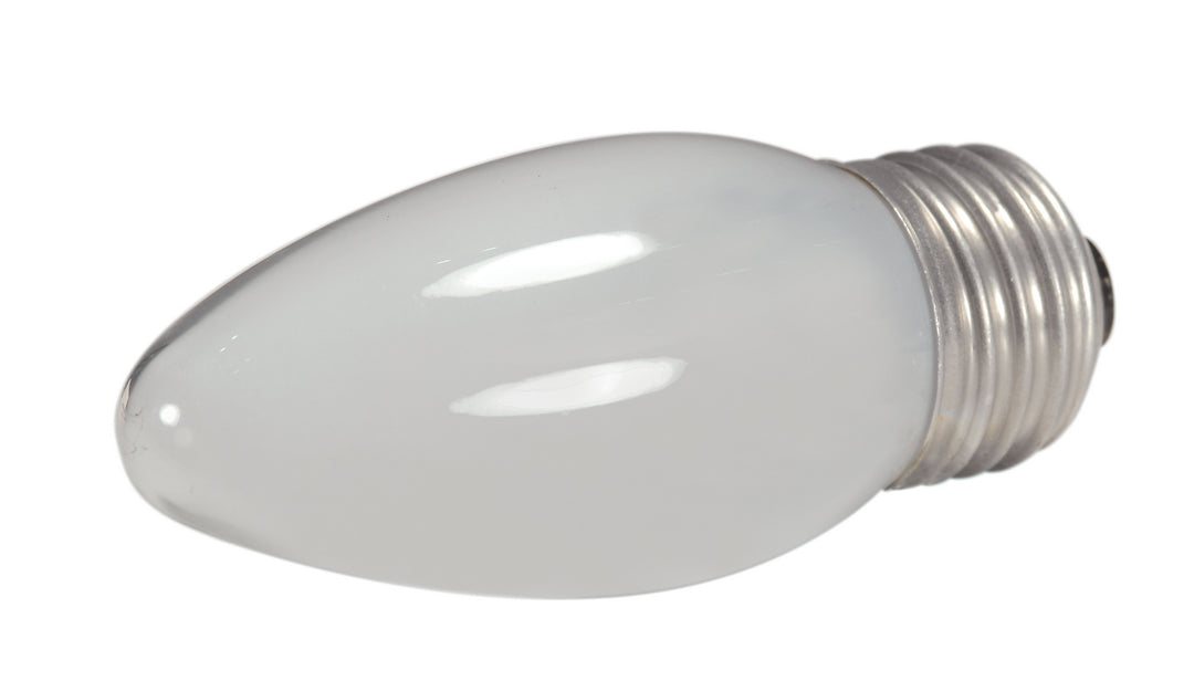 Satco Lighting S2444  Light Bulb Light Bulb Light