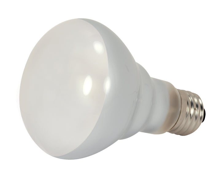 Satco Lighting S2451  Light Bulb Light Bulb White