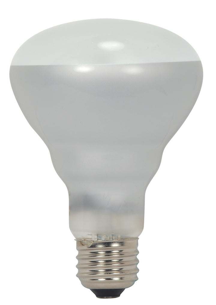 Satco Lighting S2451  Light Bulb Light Bulb White