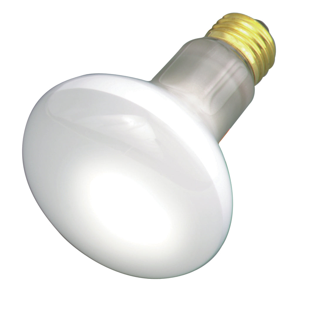 Satco Lighting S2810   Light Bulb Frost