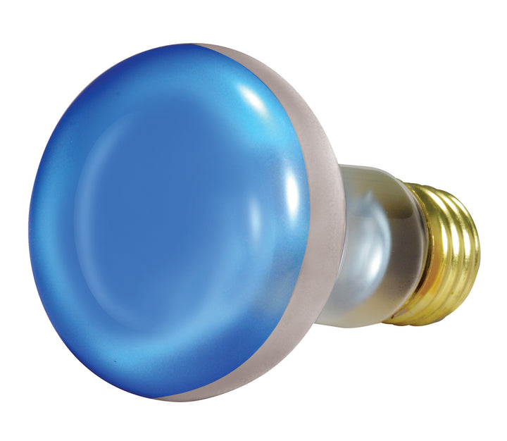 Satco Lighting S2850   Light Bulb Blue