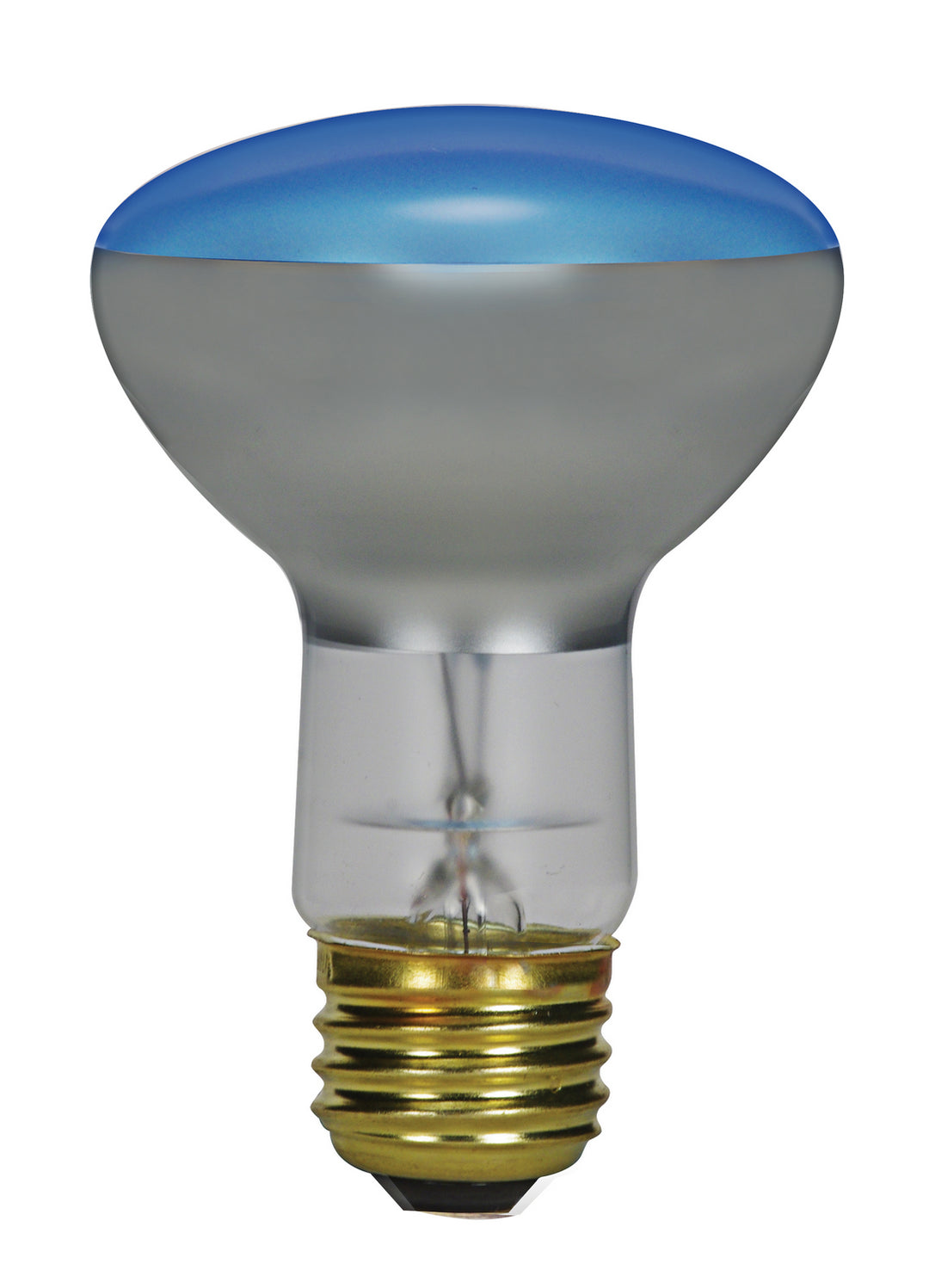 Satco Lighting S2850   Light Bulb Blue