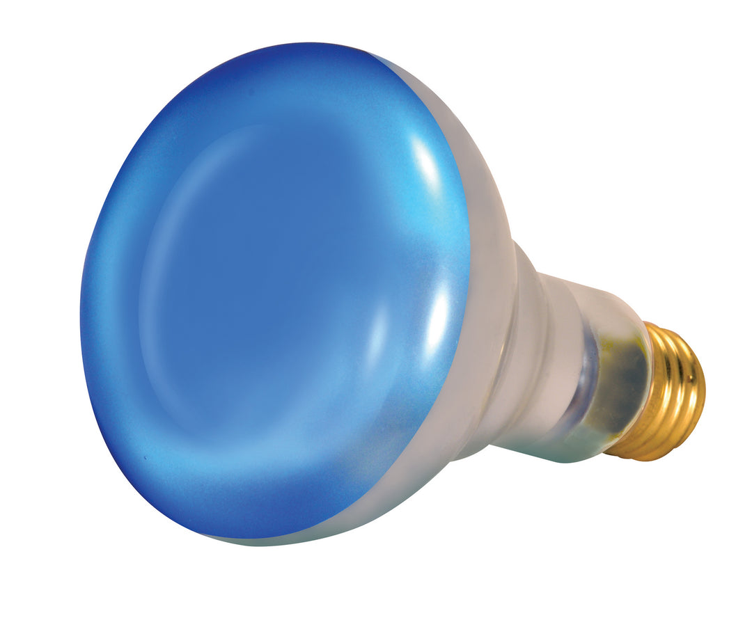 Satco Lighting S2852   Light Bulb Blue