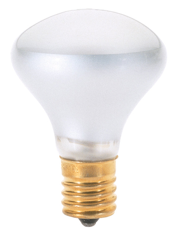 Satco Lighting S3205   Light Bulb Frost