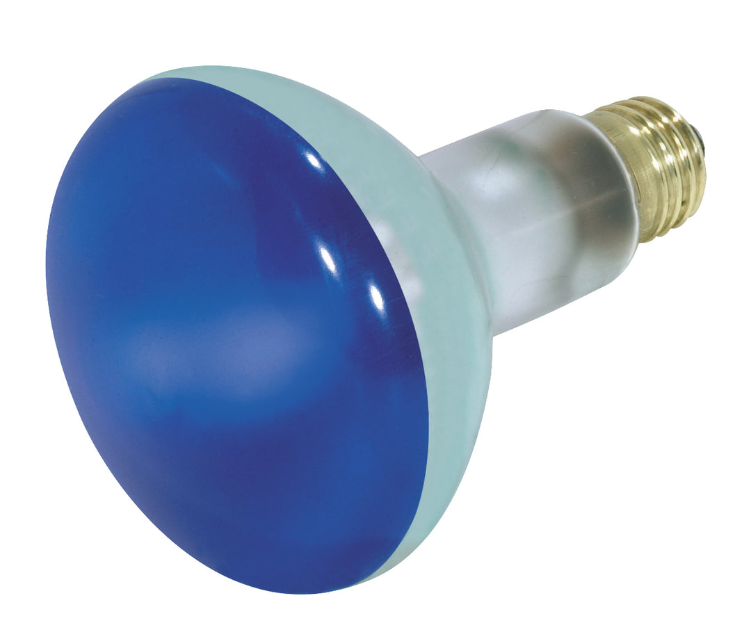 Satco Lighting S3228   Light Bulb Blue