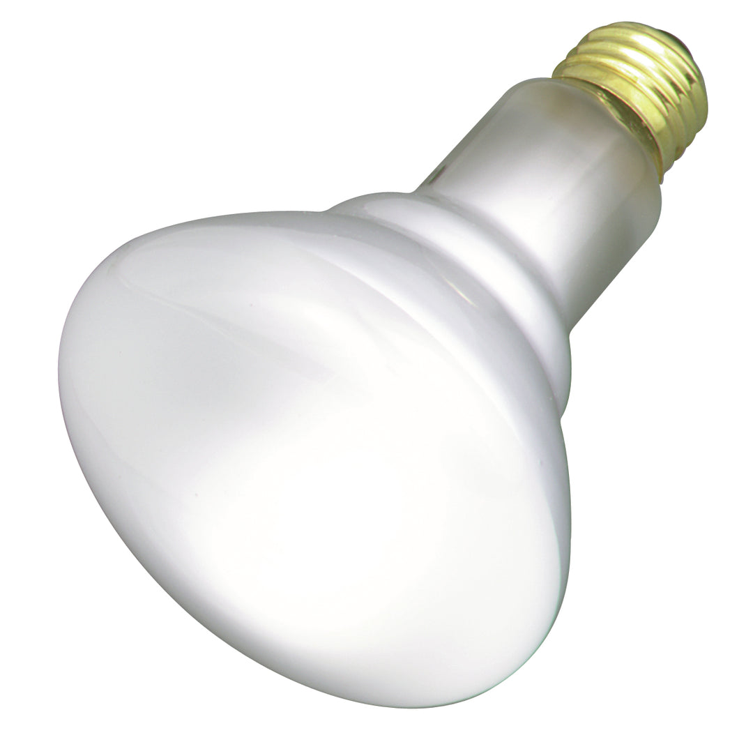 Satco Lighting S3259  Light Bulb Light Bulb White