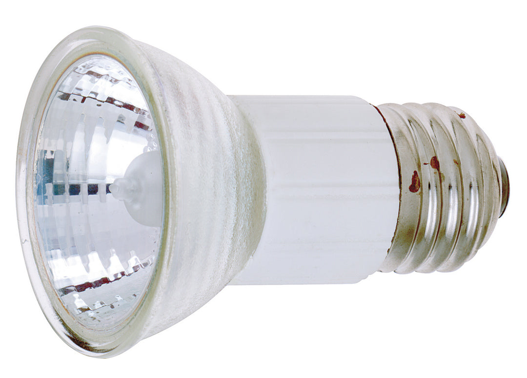 Satco Lighting S3438   Light Bulb Clear