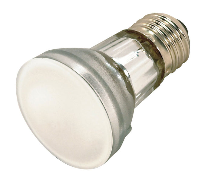 Satco Lighting S4109  Light Bulb Frost