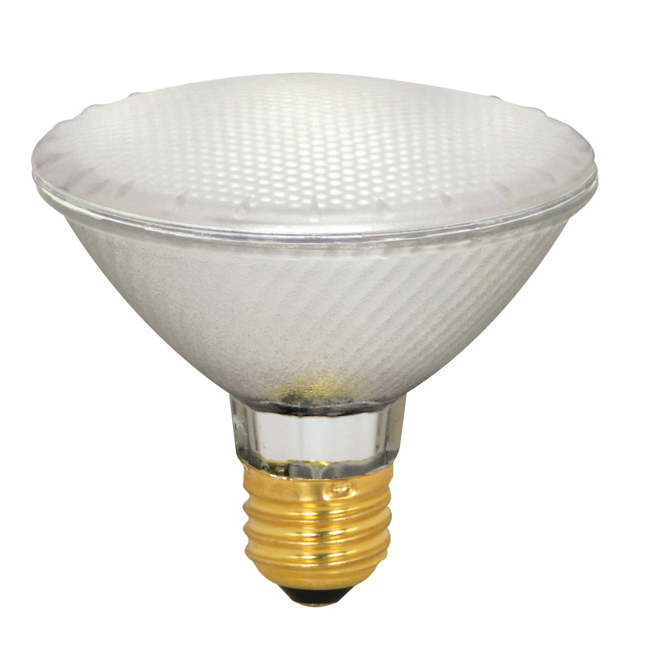 Satco Lighting S4131  Light Bulb Light Bulb Light