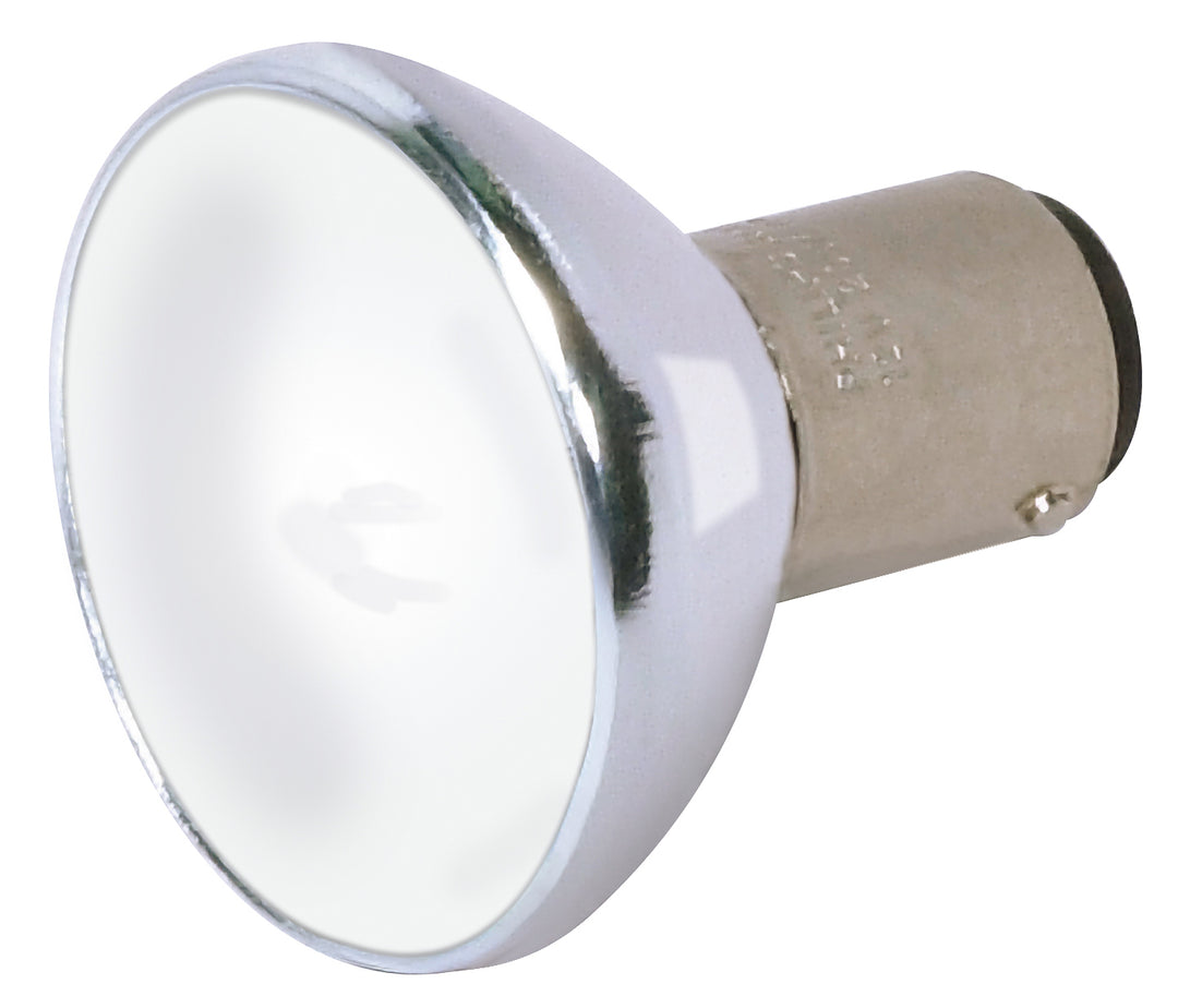 Satco Lighting S4189   Light Bulb Frost