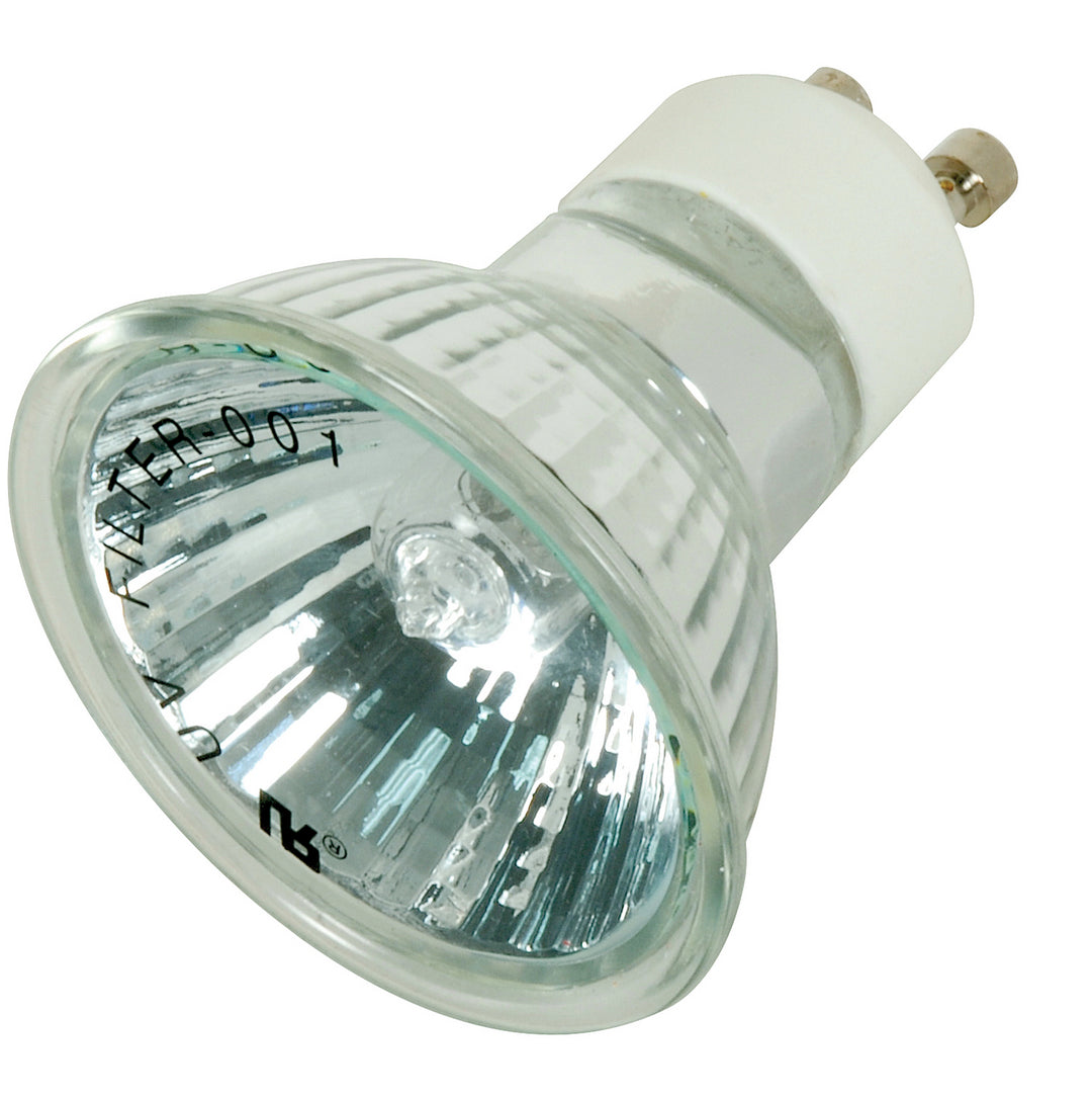 Satco Lighting S4190   Light Bulb Transparent