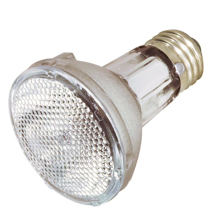 Satco Lighting S4285  Light Bulb Light Bulb Light