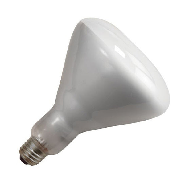 Satco Lighting S4353  Light Bulb Light Bulb Light