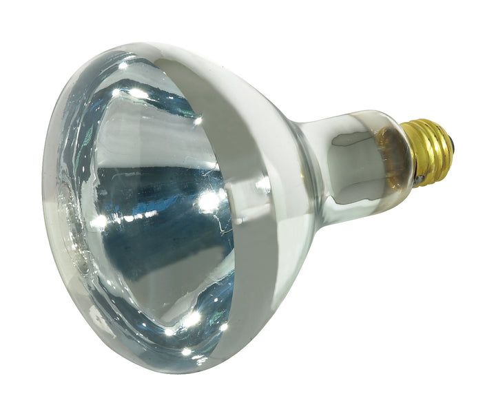 Satco Lighting S4366   Light Bulb Clear Heat