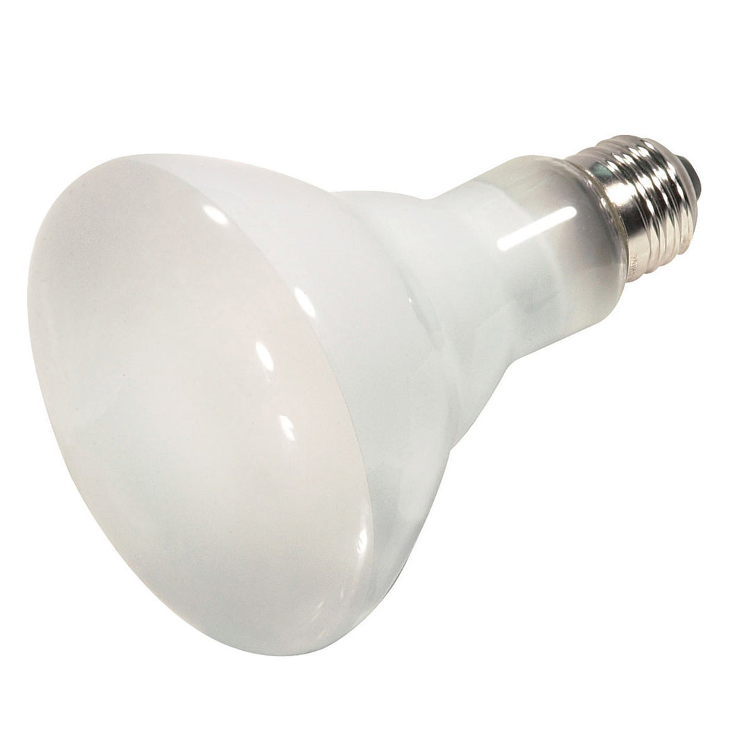 Satco Lighting S4514  Light Bulb Frost