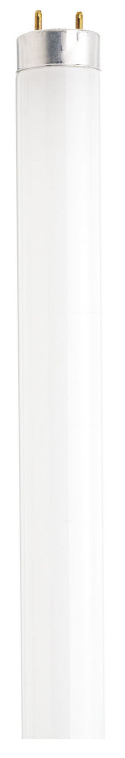 Satco Lighting S4574   Light Bulb Gloss White