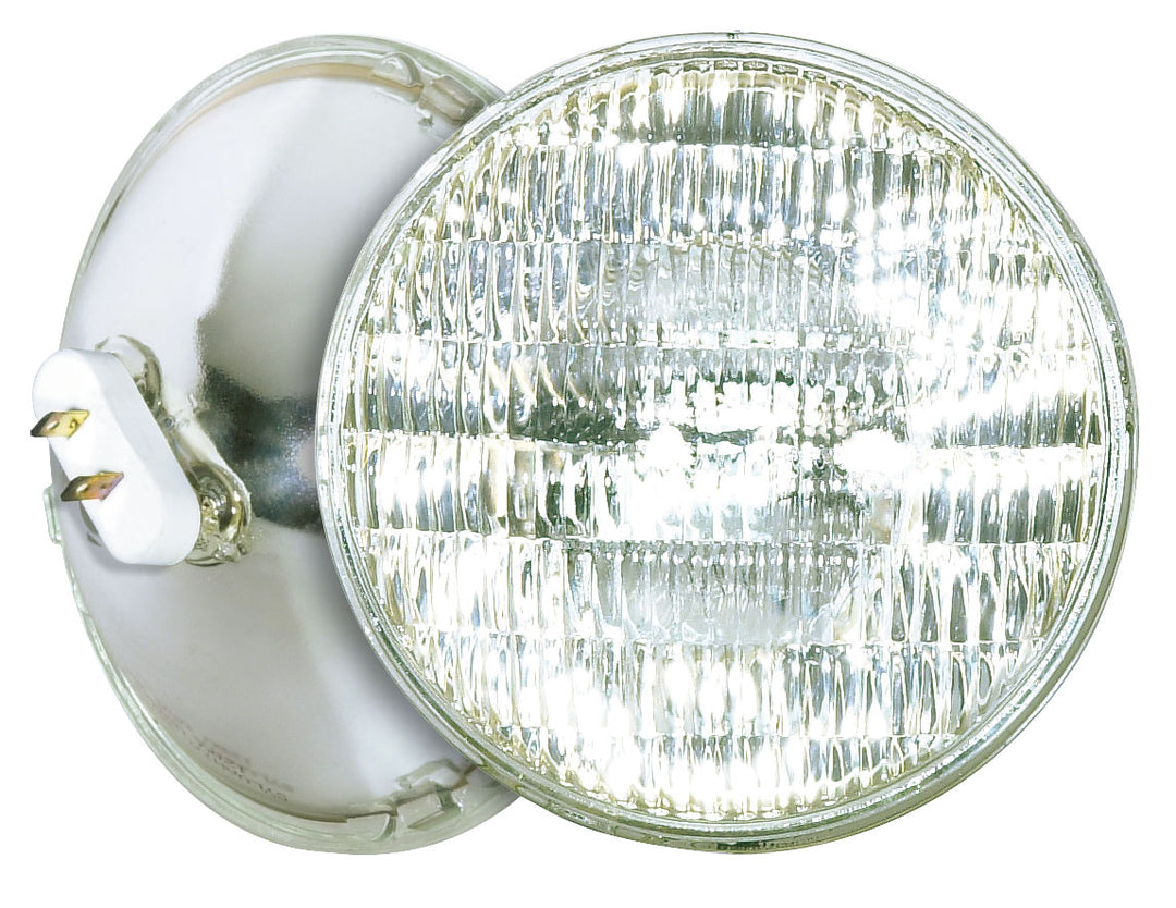 Satco Lighting S4668   Light Bulb Clear