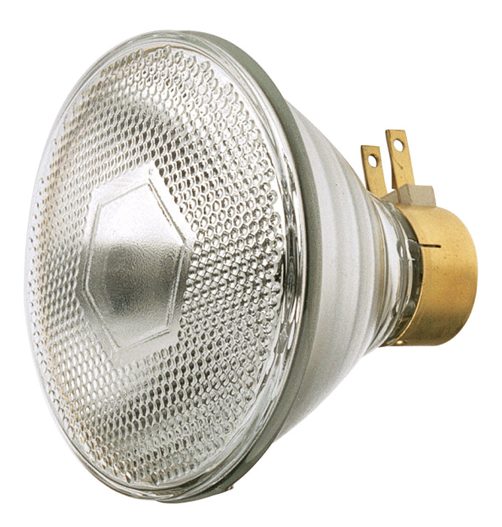 Satco Lighting S4675   Light Bulb Clear