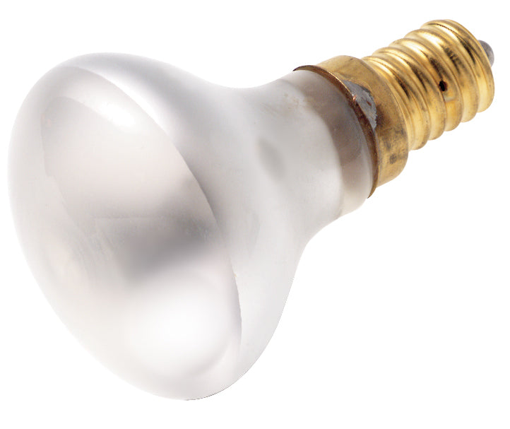 Satco Lighting S4706   Light Bulb Frost