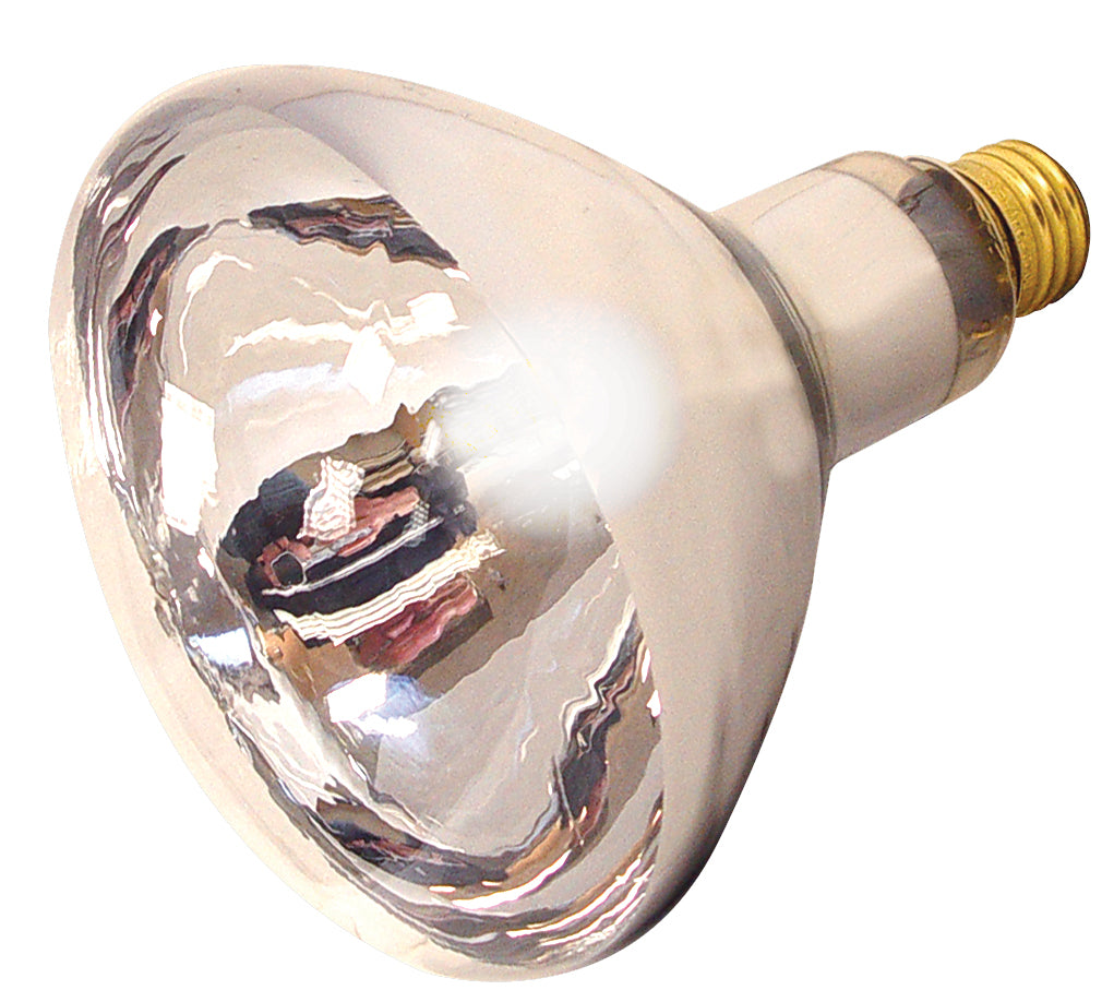 Satco Lighting S4750   Light Bulb Clear Heat