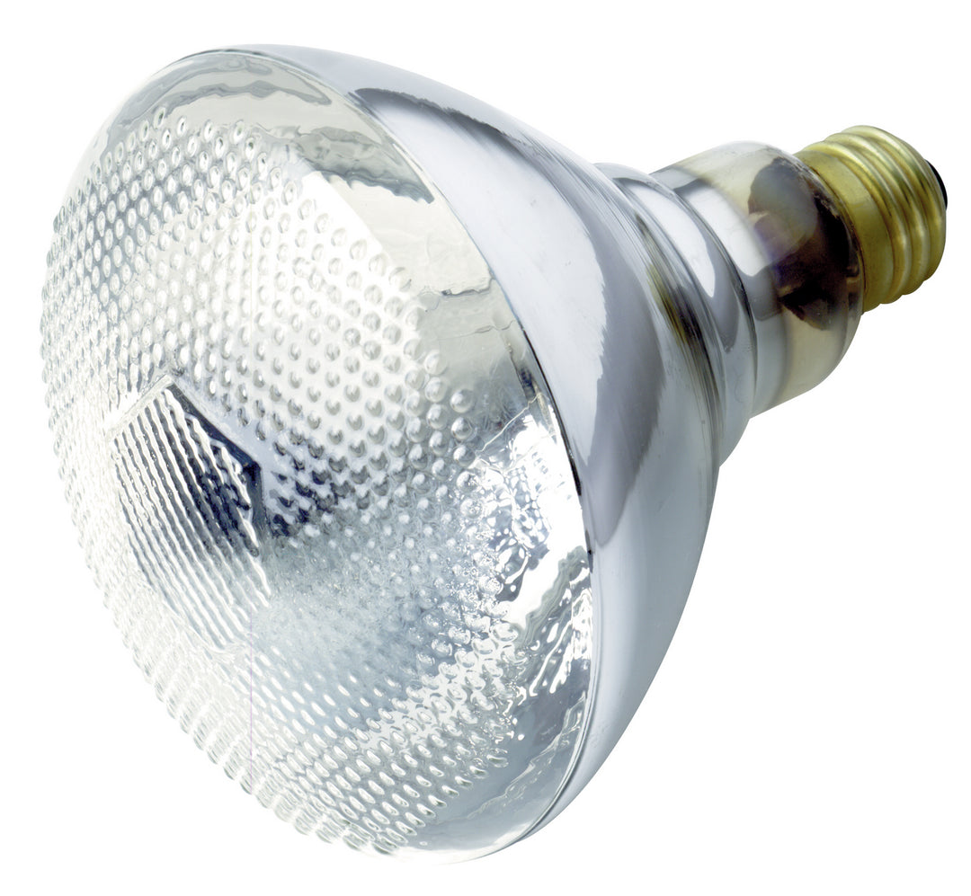 Satco Lighting S4752   Light Bulb Clear