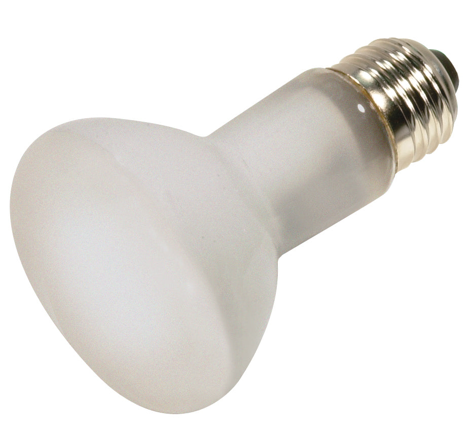 Satco Lighting S4886   Light Bulb Frost