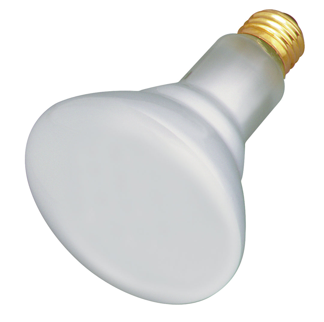 Satco Lighting S4887  Light Bulb Light Bulb White