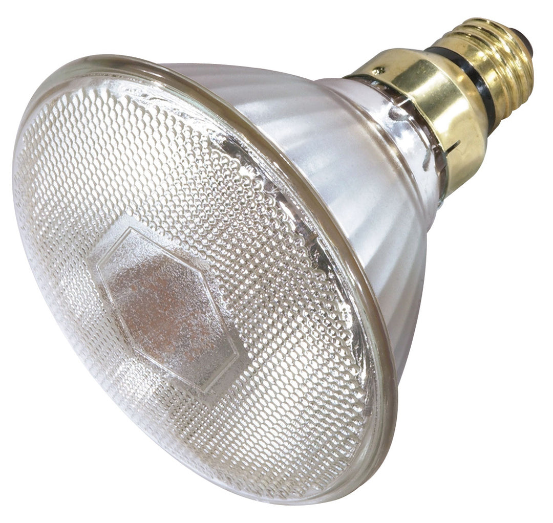 Satco Lighting S4889  Light Bulb Light Bulb Light