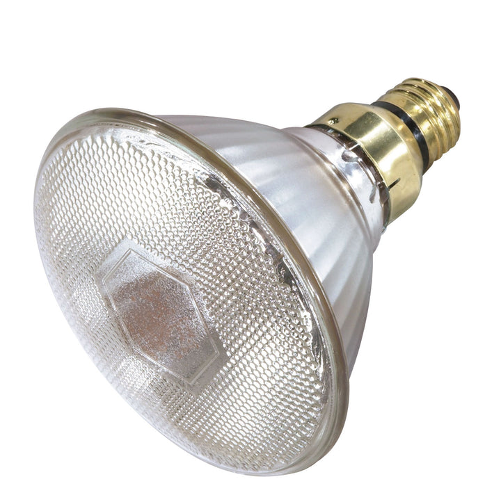 Satco Lighting S4898   Light Bulb Clear