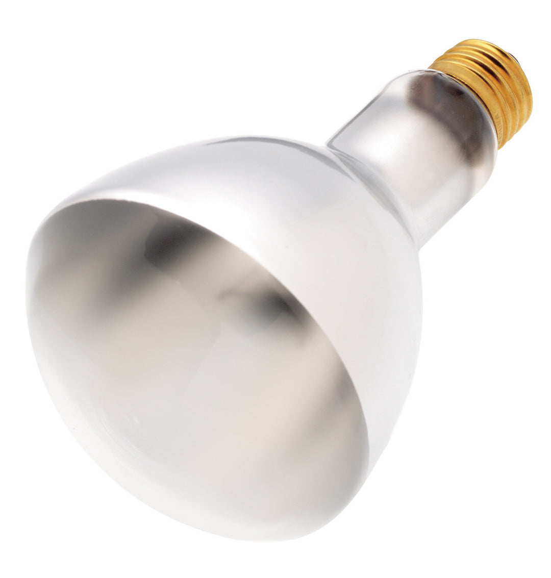 Satco Lighting S4956  Light Bulb Light Bulb White