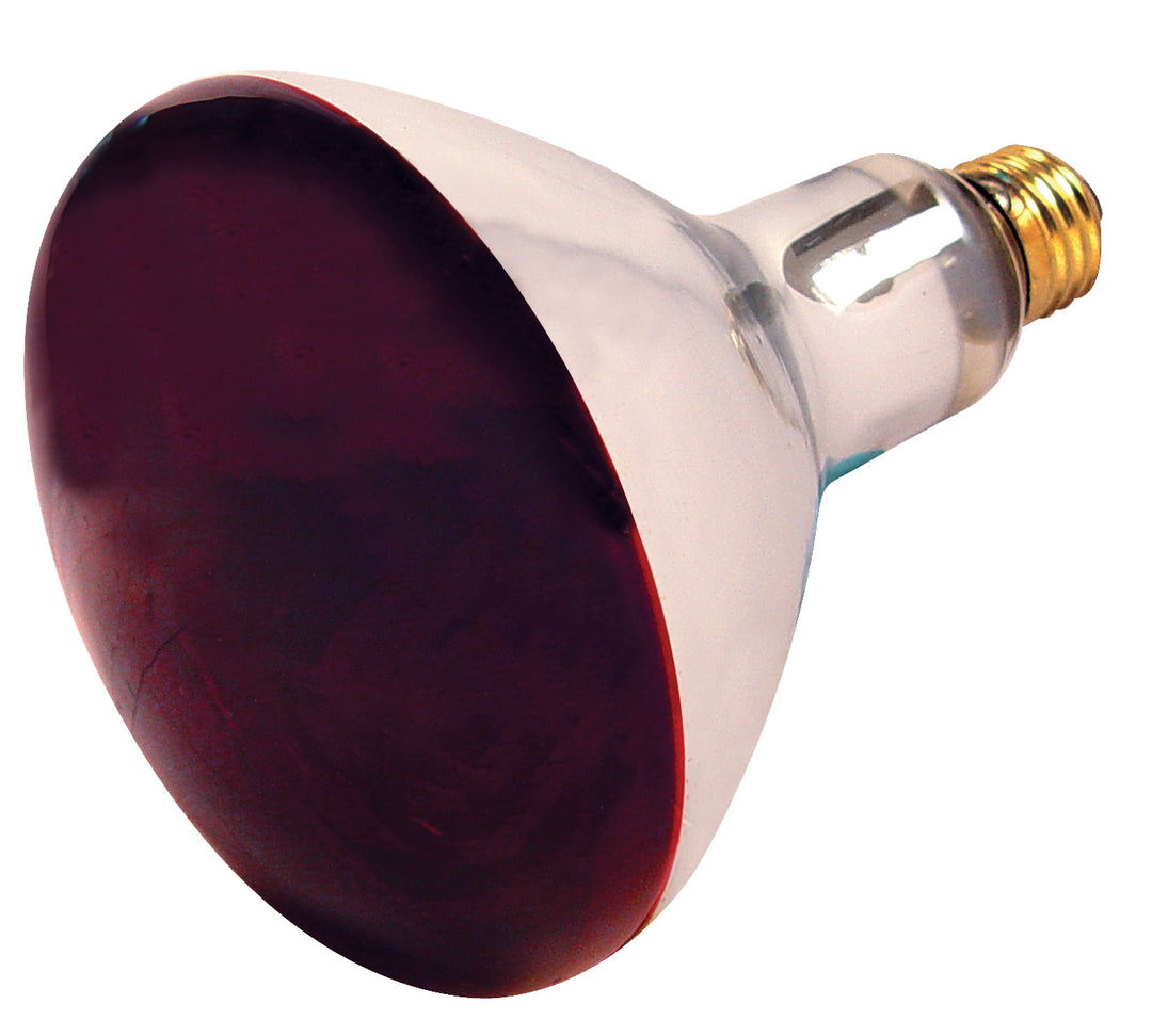 Satco Lighting S4998   Light Bulb Red Heat