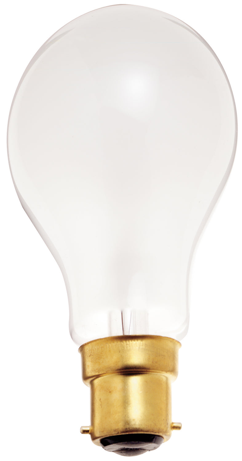 Satco Lighting S5040   Light Bulb Frost