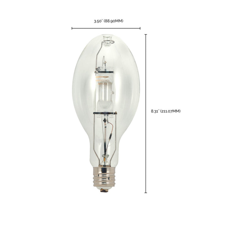 Satco Lighting S5829   Light Bulb Clear