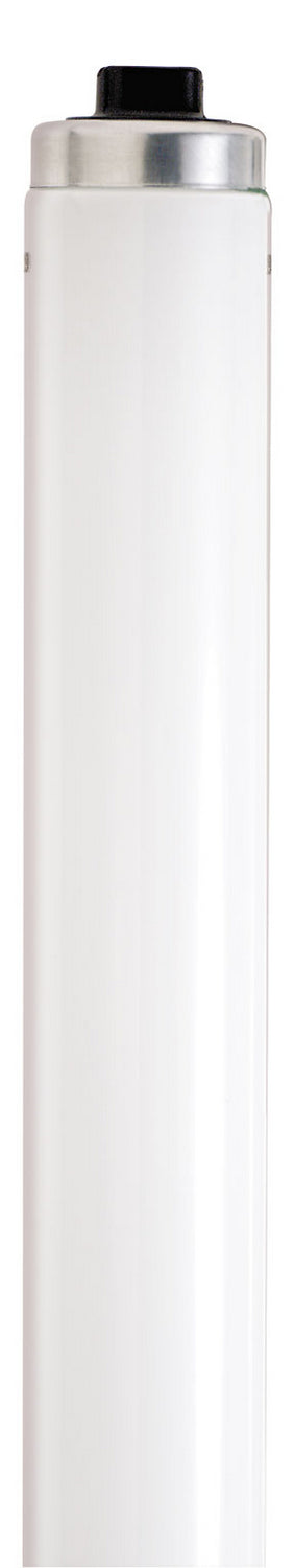 Satco Lighting S6454   Light Bulb White