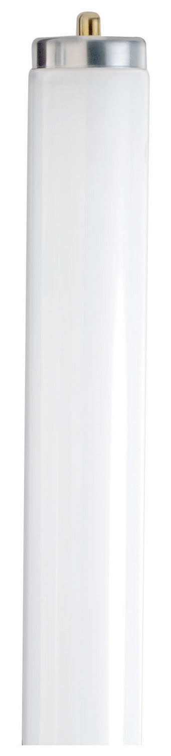 Satco Lighting S6650  Light Bulb Frost